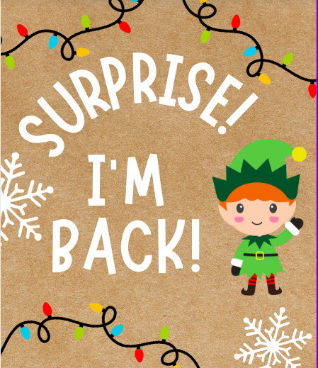 Surprise! I'm Back! Hand painted Elf Banner - Christmas Decor
